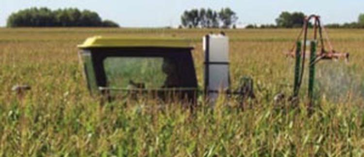 Effectiveness of Foliar Fungicides by Timing on Foliar Diseases on Hybrid Corn in Northwest Iowa